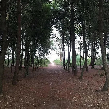 Lägenhet La Pineta Sul Mare *