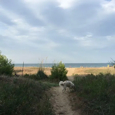 Lägenhet La Pineta Sul Mare *